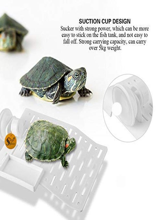 سايج سكوير منصة مربعة من سيج تُستخدم كمنحدر للتشمس (مع وعاء طعام) لتزيين أحواض السمك مع كوب شفط للسلاحف والزواحف وأحواض السمك والبرمائيات الصغيرة (حجم صغير) - Image 5